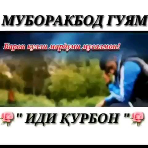 marginal_52 в LOOKY. . null