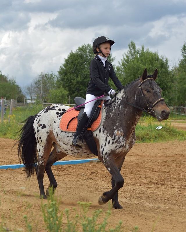 sopronenkosvetlana в LOOKY. . Первые соревнования,...