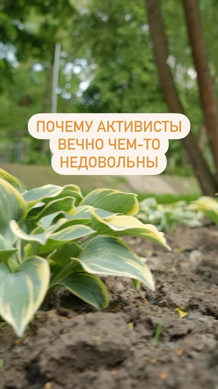 stereodenis в LOOKY. #общество,#интервью,#вести,#вестиврн,#активист. Денис Евграфов назыв...