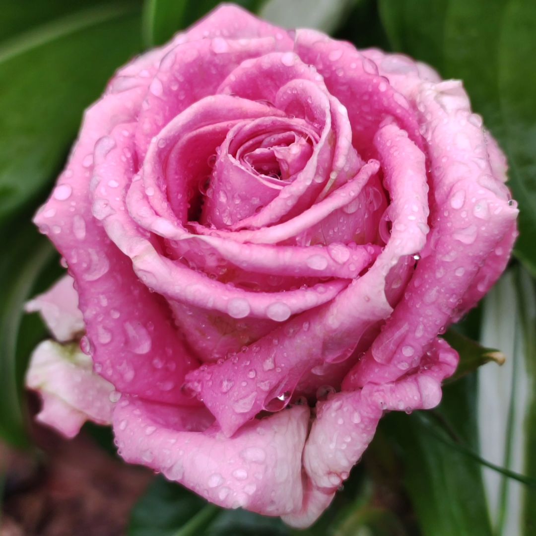 lanet255 в LOOKY — фото 5