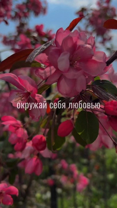 elenabunina_life в LOOKY. #добрыйвечер,#мотивашка. Вечер добрый, дороги...