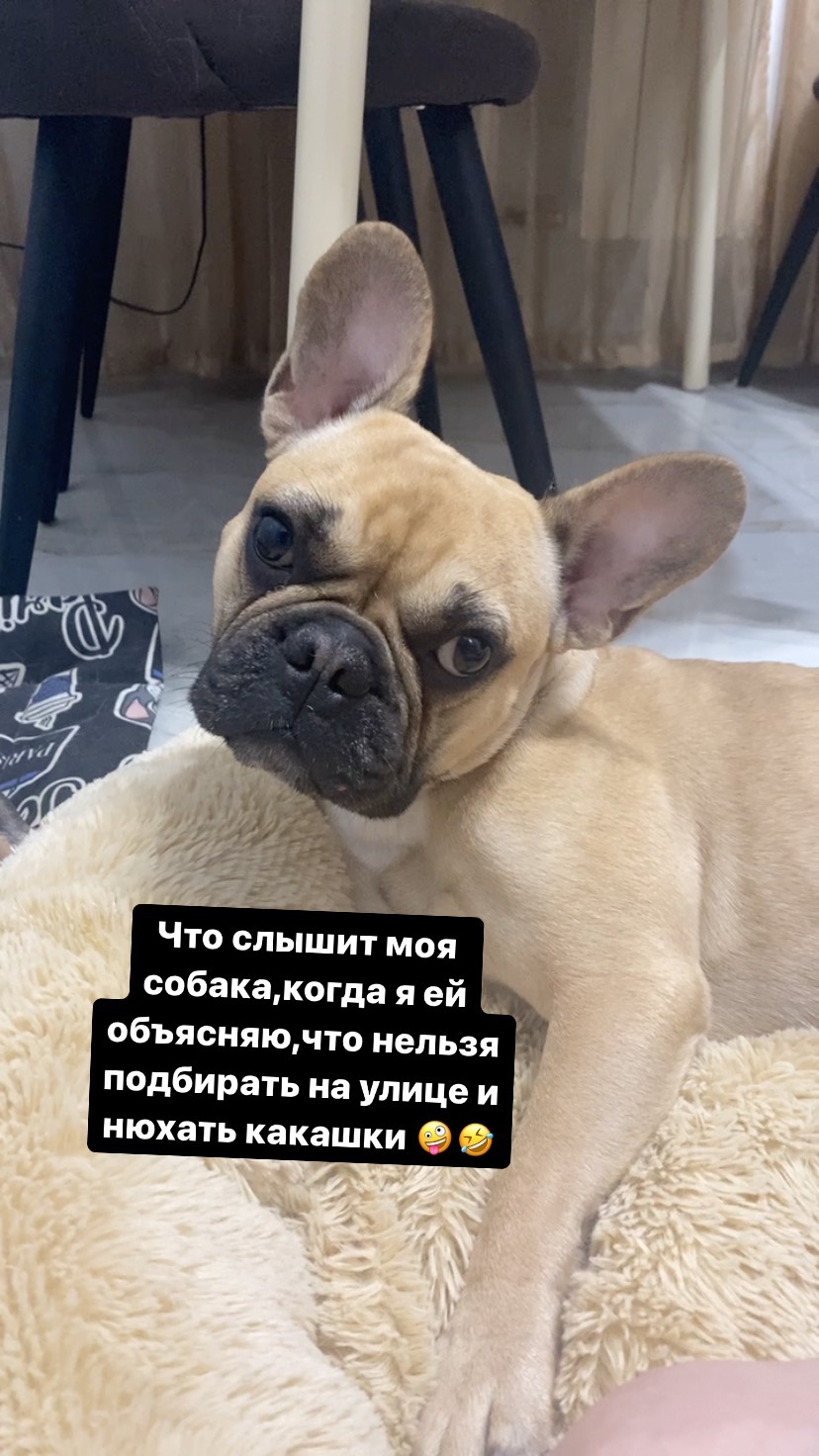 hellooobiches в LOOKY. . null