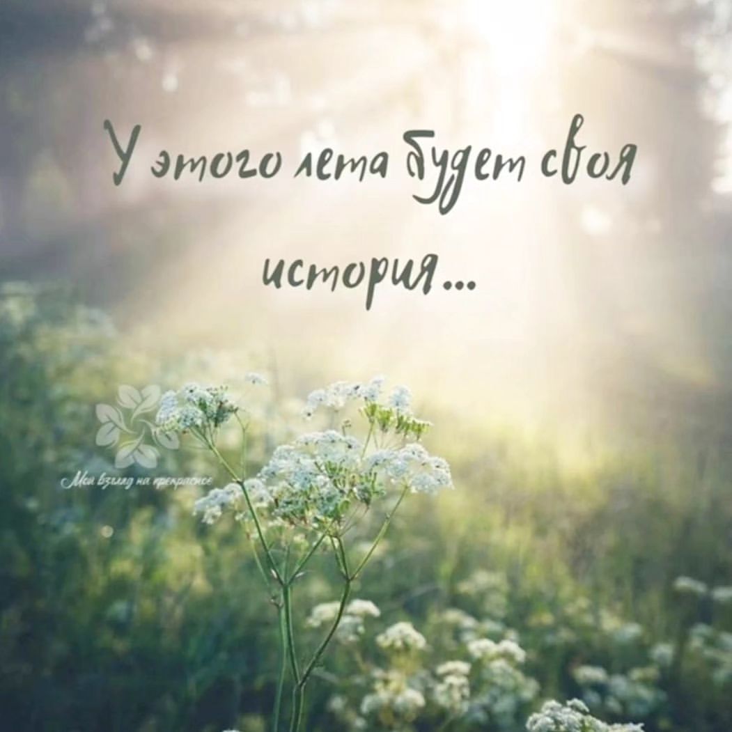 Наше лето🤩😍🦋🐝🌼🌸🌺🌞🌞🌞