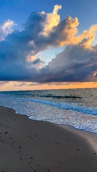 best__dis в LOOKY. . null