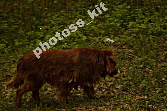 photoss_kit в LOOKY. #liker,#follow4followback,#хочулайки,#like4follow,#взаимныекомментарии,#likeforfollow,#like4tags,#лайкзалайк,#подписки,#взаимнаяподписка,#liketime,#лайкивзаимно,#взаимныйпиар,#followlikes,#взаимныелайкииподписка,#всевзаимно,#followback,#like4likes,#взаимныелайки,#likeforlike,#лайкни,#лайк,#подписказаподписку,#взаимныеподписки,#follower,#followers,#likeforlikes,#лайки,#followforfollowback,#followme. #liker #follow4follo...