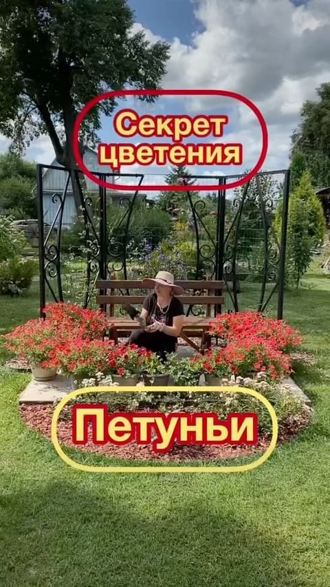my_garden_every_day в LOOKY. . Стрижём Петунью смел...