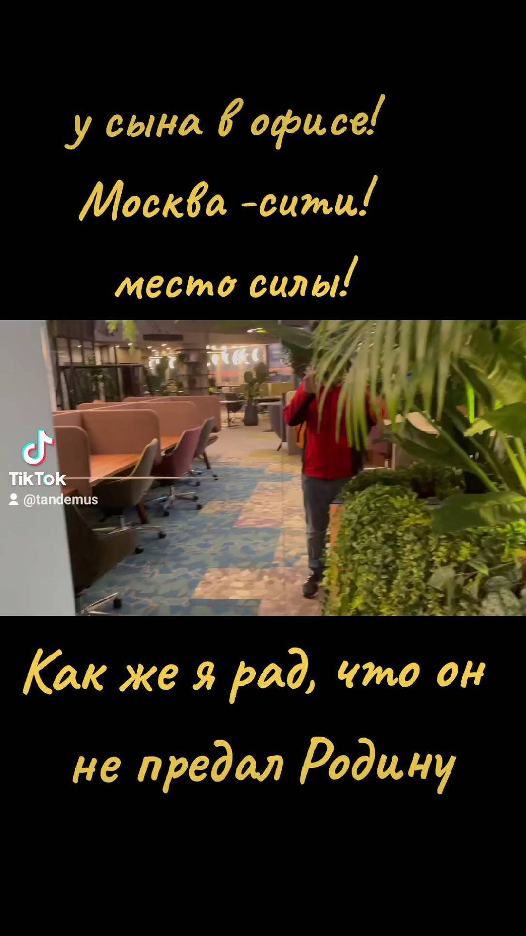 tandemus в LOOKY. . null