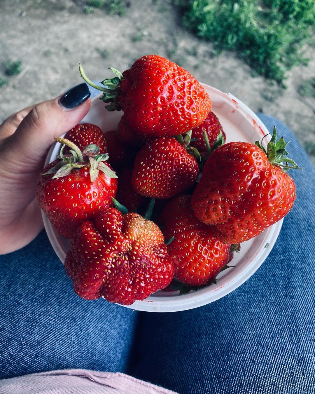 Какое чудесное утро🌞🍓
#Утро#семья#отдыхаемдушой#летоУрал#лето2023#Виктория#Клубника#вкусноелето