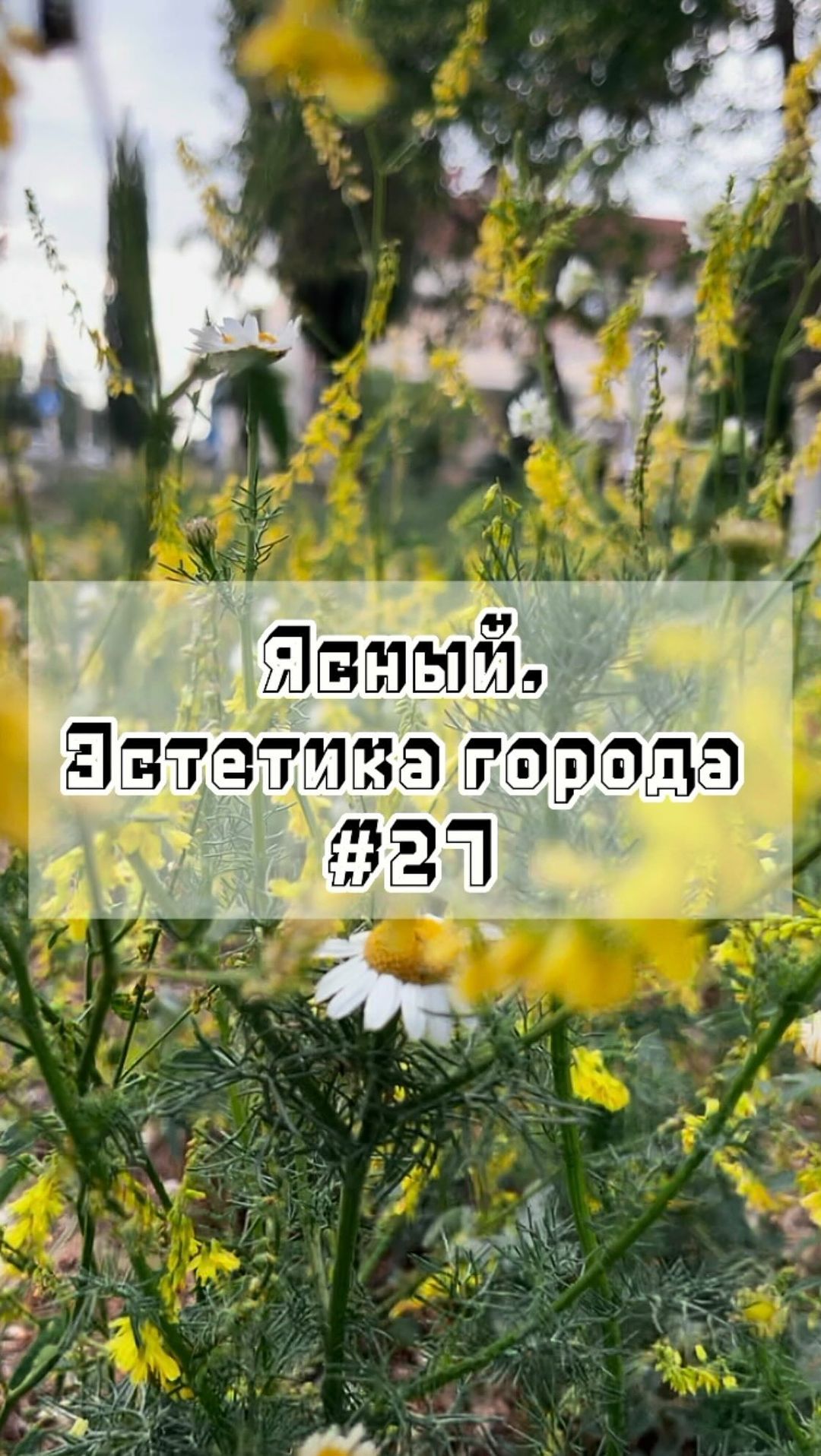 gorodyasny в LOOKY. #27,#Ясный,#эстетикагорода,#город,#эстетика,#родныеместа. Ясный. Эстетика горо...