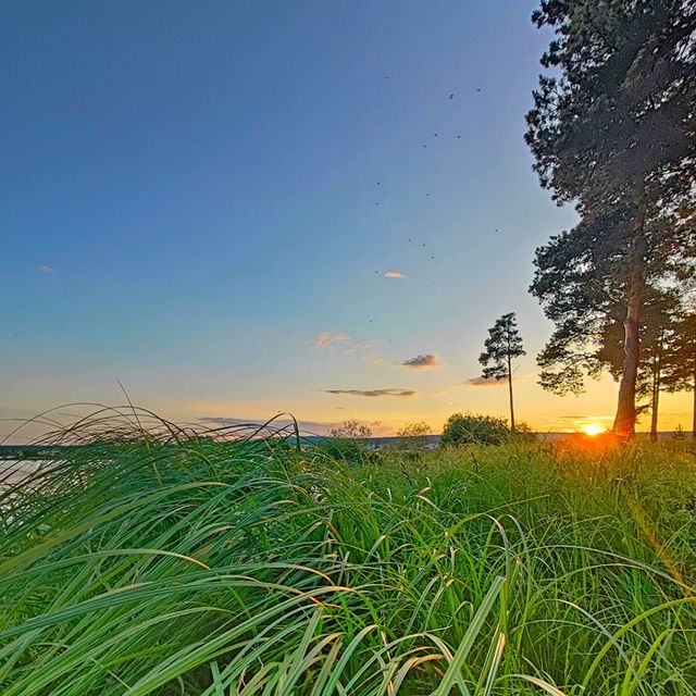 pervouralsk_from_ps в LOOKY. #sunset,#photooftheday,#photo,#photographer,#photography,#like4follow,#like4followers,#likesfor,#like,#liketime,#life,#закат,#фото,#фотосъемка,#фотосет,#фотографирую,#фотолюбитель,#природа,#свердловскаяобласть,#июнь2023. #sunset #photoofthed...