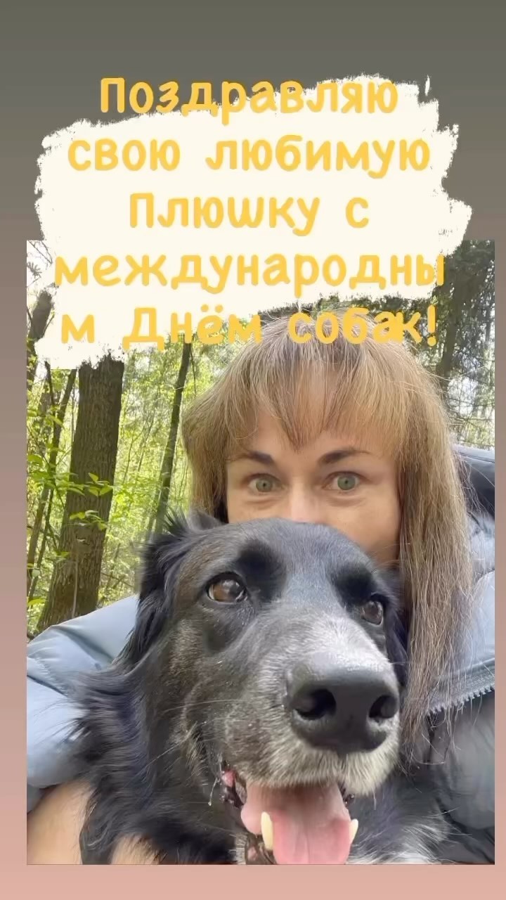 811mila в LOOKY. #спасинепокупай,#счастьевдом,#собакалучшийдругчеловека,#любимыезверушки. С Международным Днём...