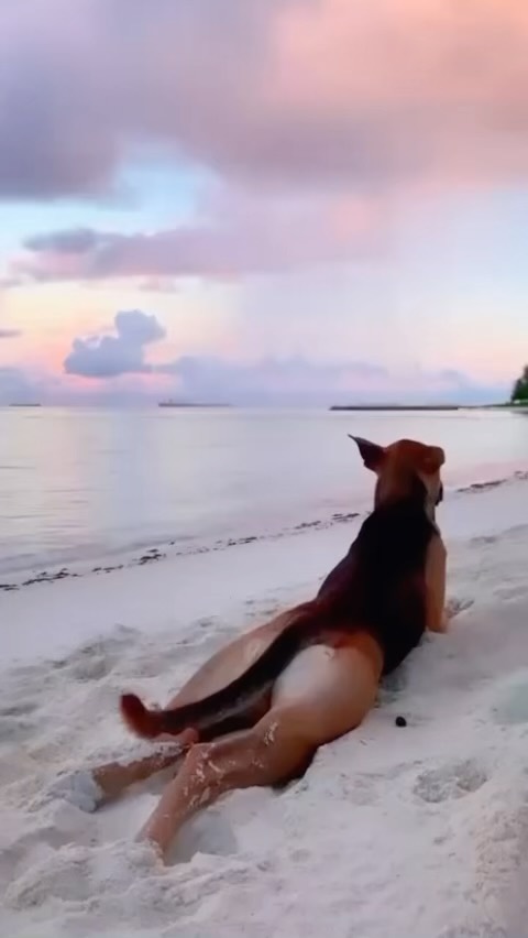 irusik_dominicana в LOOKY. #dominicana#caribe#dominicanrepublic,#isla#oceano#sol#paraiso#plaja,#puntacana#lasterenas#bavaro#puertoplata,#viaje#samana#bayaibe#santodomingo,#hermoso#travelgirl,#остров#океан#солнце#рай,#путешествие#доминикана#баваро,#пунтакана#ластеренас#самана,#люблюдоминикану#пуэртоплата. Hola amigos! 😊

- Ц...
