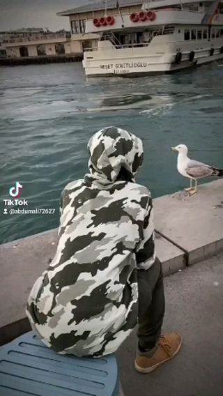 vaakhobov_ в LOOKY. #rekk,#rekkachiq#uzb,#trending,#instagood. Hamma ozi bilan ozi ...