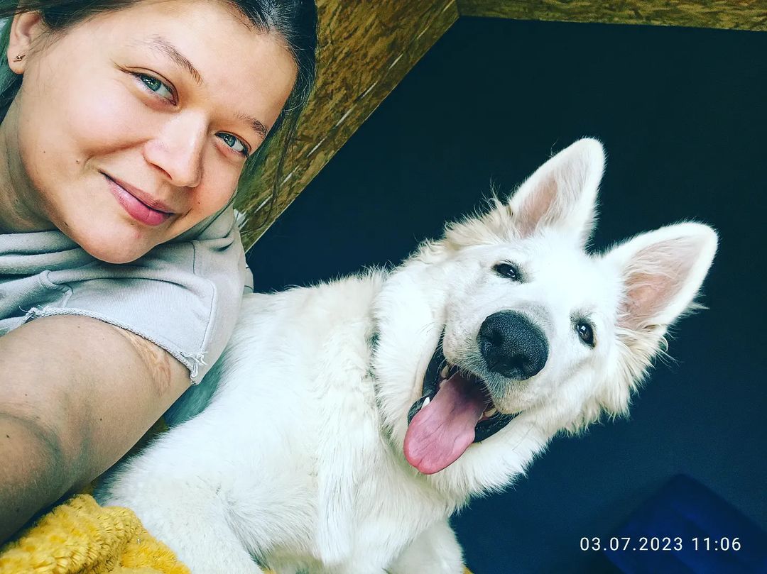 elena_m_galtsova в LOOKY — Мой супер-пес #бшо_Гудвин 🤍 #бшо - любовь навсегда 🤍🤍🤍