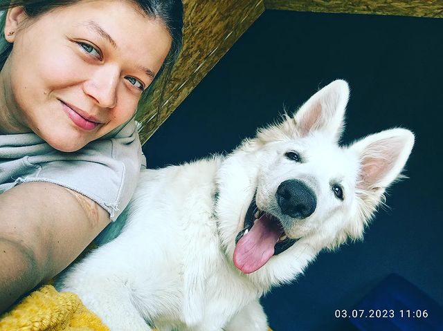 elena_m_galtsova в LOOKY. #бшо_Гудвин,#бшо. Мой супер-пес #бшо_Г...