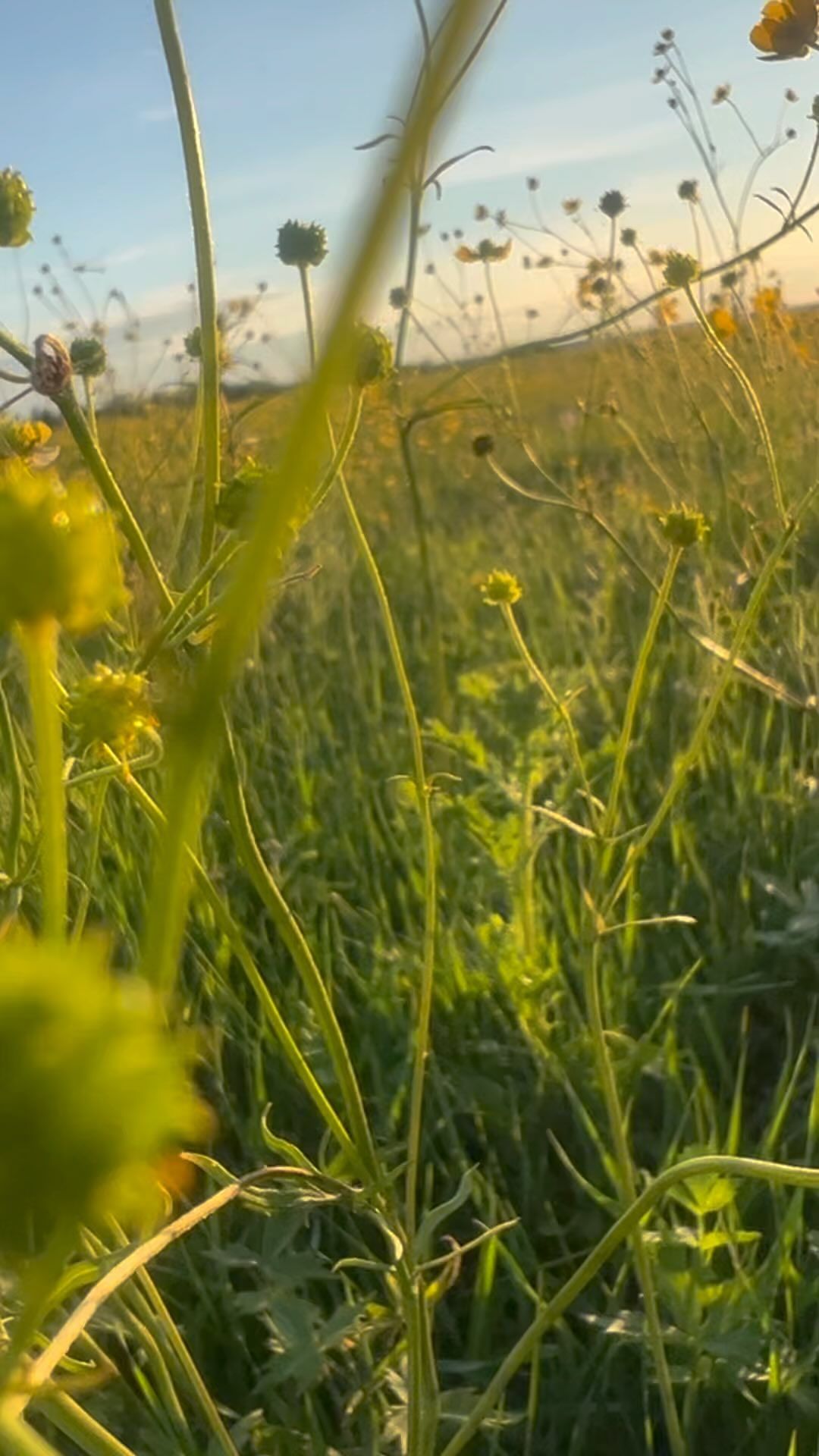 mayamaria89 в LOOKY. . Сайын🤩☀️⛱️🌻🌹🌸🌺�...