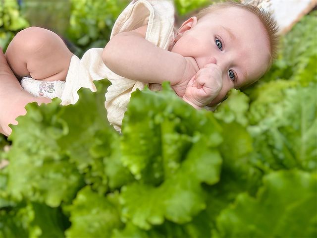 sok_senia в LOOKY. . Мы бы хотели найти т...