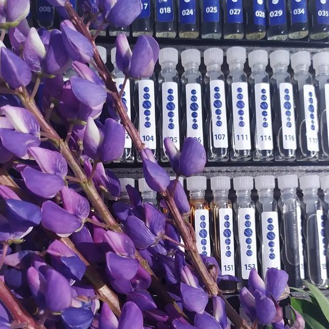 aroma.zvezda в LOOKY. #лобня,#лобнядухи,#подарокмаме,#подарокдевушке,#подарокжене,#москва,#долгопрудный,#дмитров,#essens. Дорогие друзья ✨ 
У ...