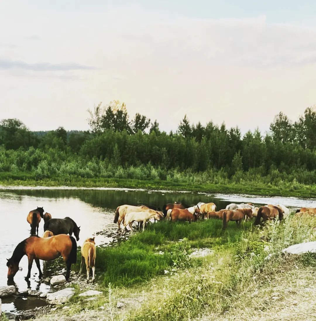 alibaev196 в LOOKY — # Инйэр