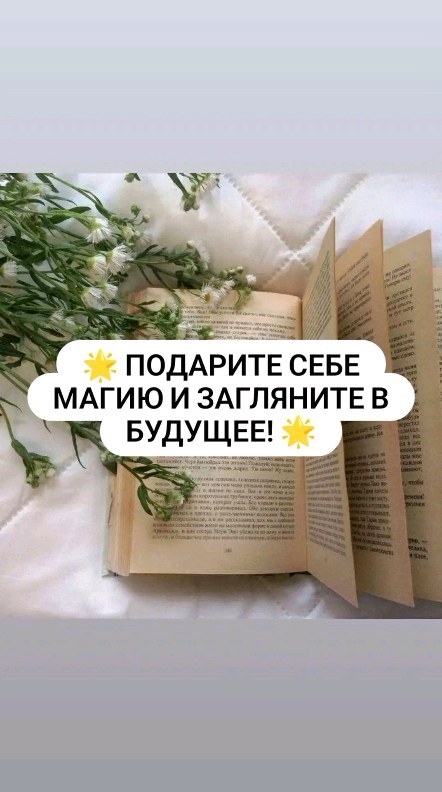 payusova_taro in LOOKY