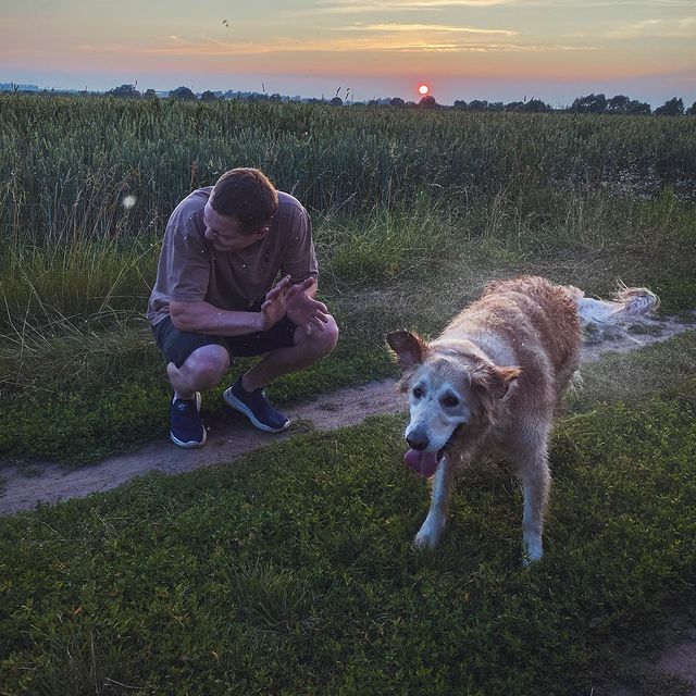 sg_zr в LOOKY. #goldenretriever,#golden,#dogs,#dog. Хоть кто-то купается...