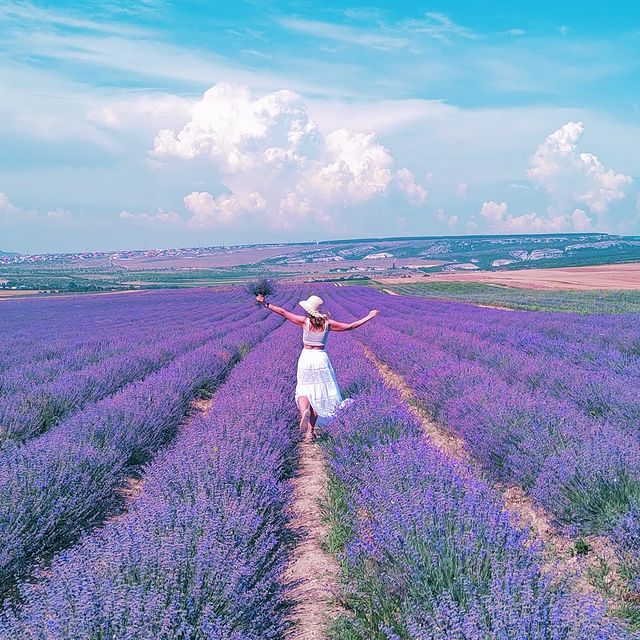 dar_pi_ в LOOKY. . 🪻