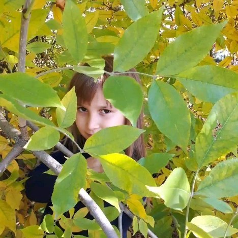 noticeformsht5 в LOOKY. . Моя любимая девочка ...