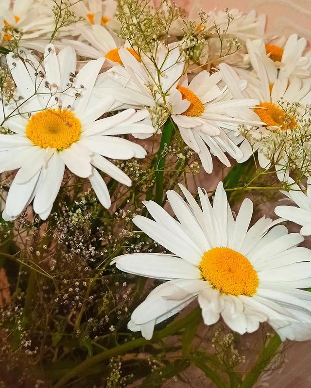 natali.polskikh в LOOKY. #ромашки🌼,#букетцветов,#букетромашек. День Семьи, Любви и ...