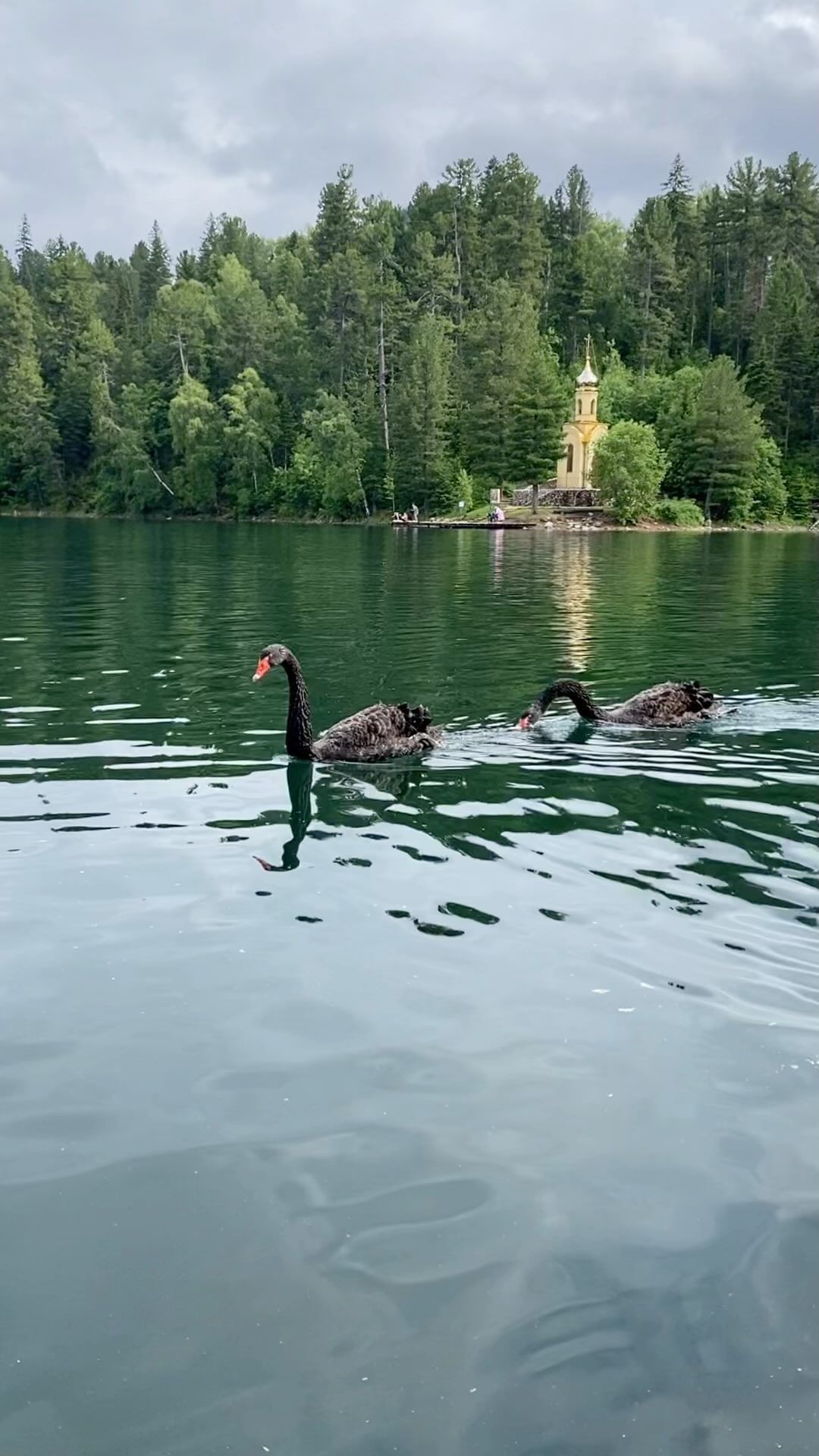 _archive_bur in LOOKY. . Теплые озера 🦢