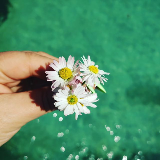 milaschka_13 в LOOKY. . null