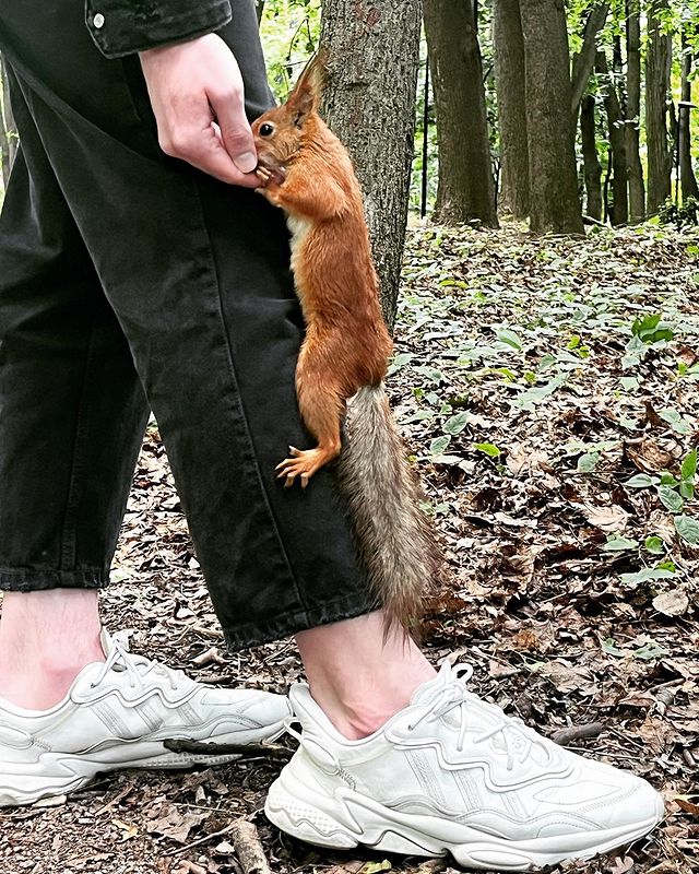 evgeny_the_great в LOOKY. #mood. #mood