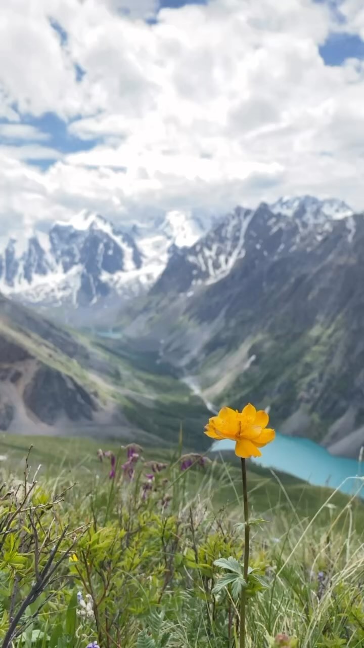 tourism_in_altai в LOOKY. #красота,#путешествуй. #красота в мелочах #...