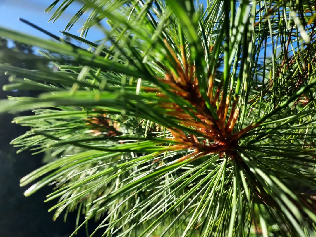 povedionoksasha4 в LOOKY — фото 9
