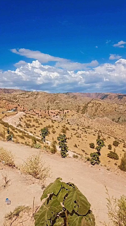 iskandarov.baxtiyor в LOOKY. . null