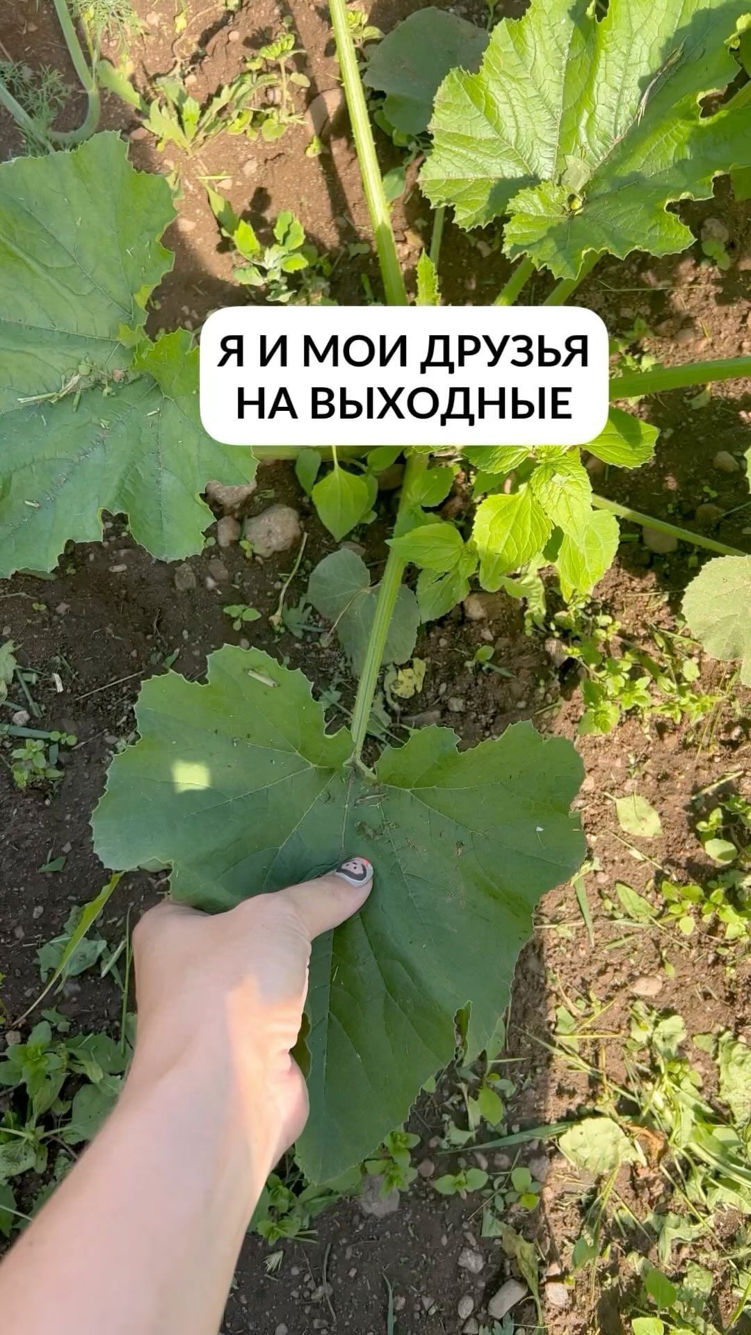 prosto_petrovann в LOOKY. . Как вам мои друзья? ...