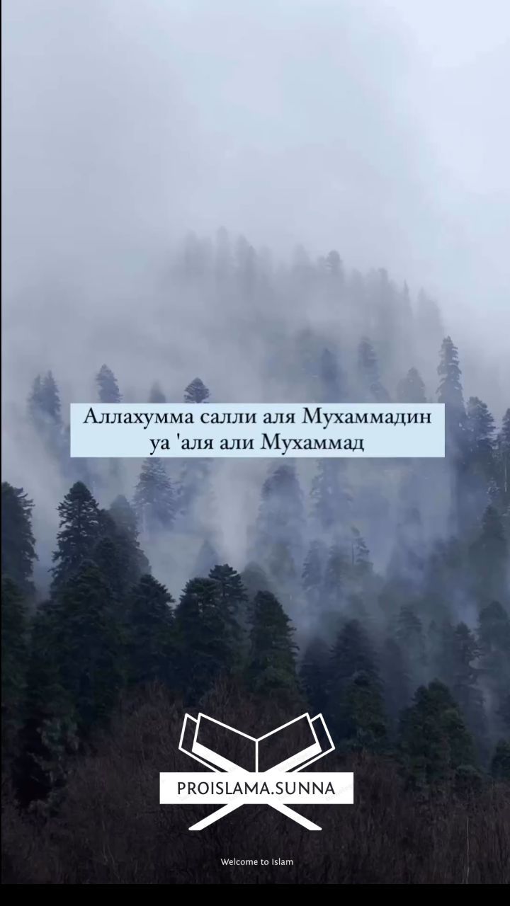 proislama.sunna в LOOKY. . «Когда Аллах любит л...
