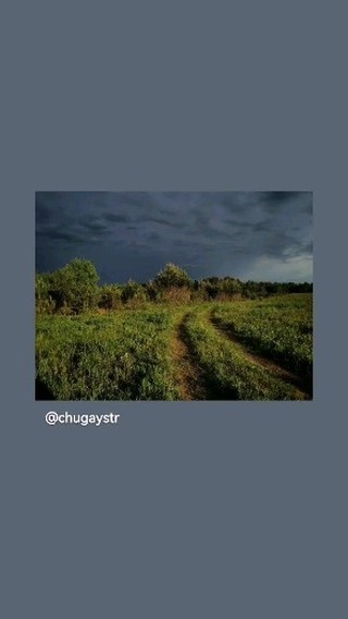 chugaystr в LOOKY. . null