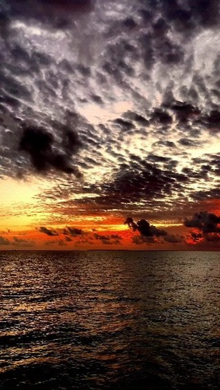 best__dis в LOOKY. . null