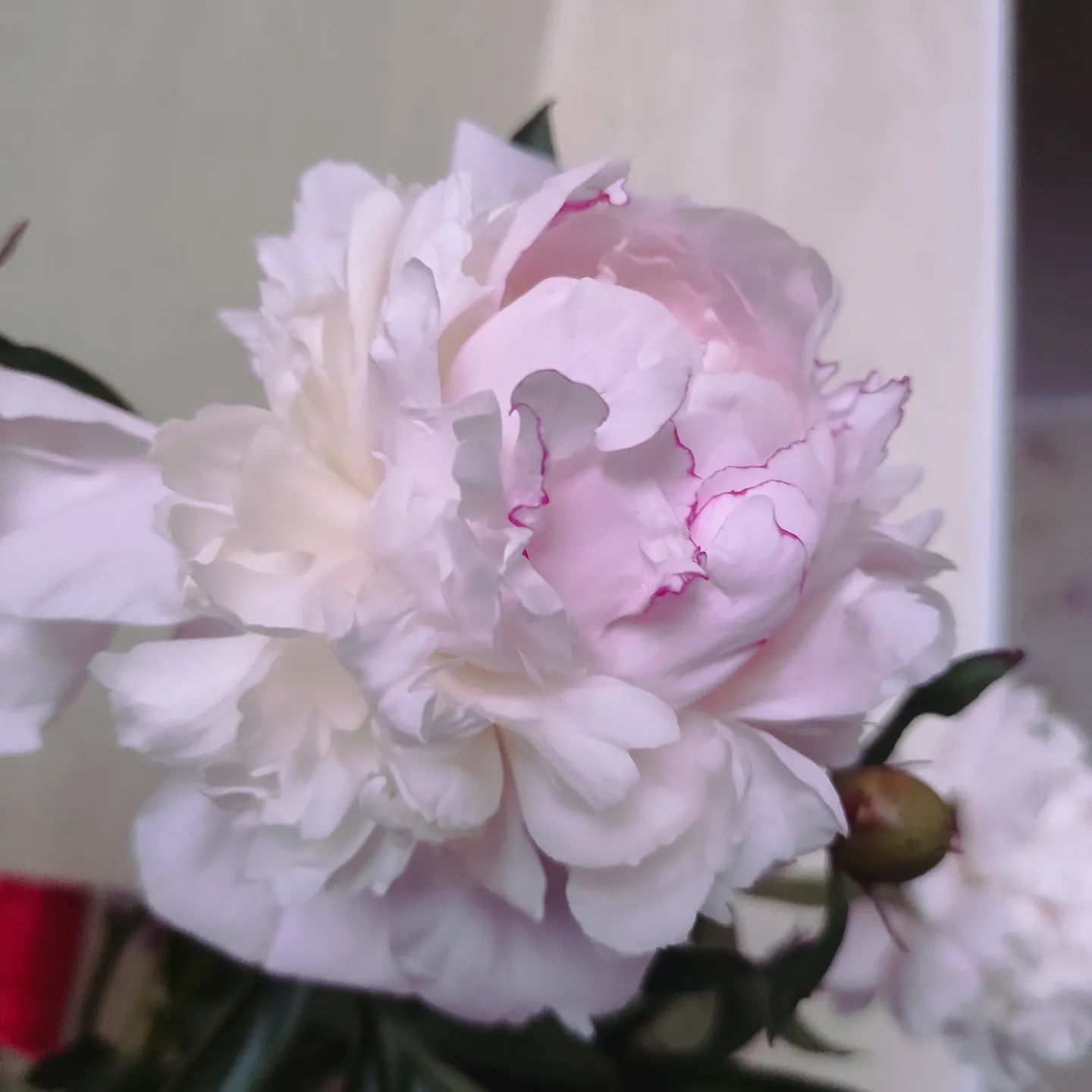 gala1704259 в LOOKY. . null