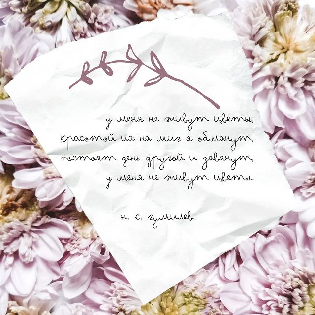 бумажка к бумажке в LOOKY. #collage,#art,#paperwork,#digitalart,#collageart,#poetry,#коллаж,#искусство,#поэзия,#гумилев. ⠀⠀
⠀

⠀

⠀
#collage ...