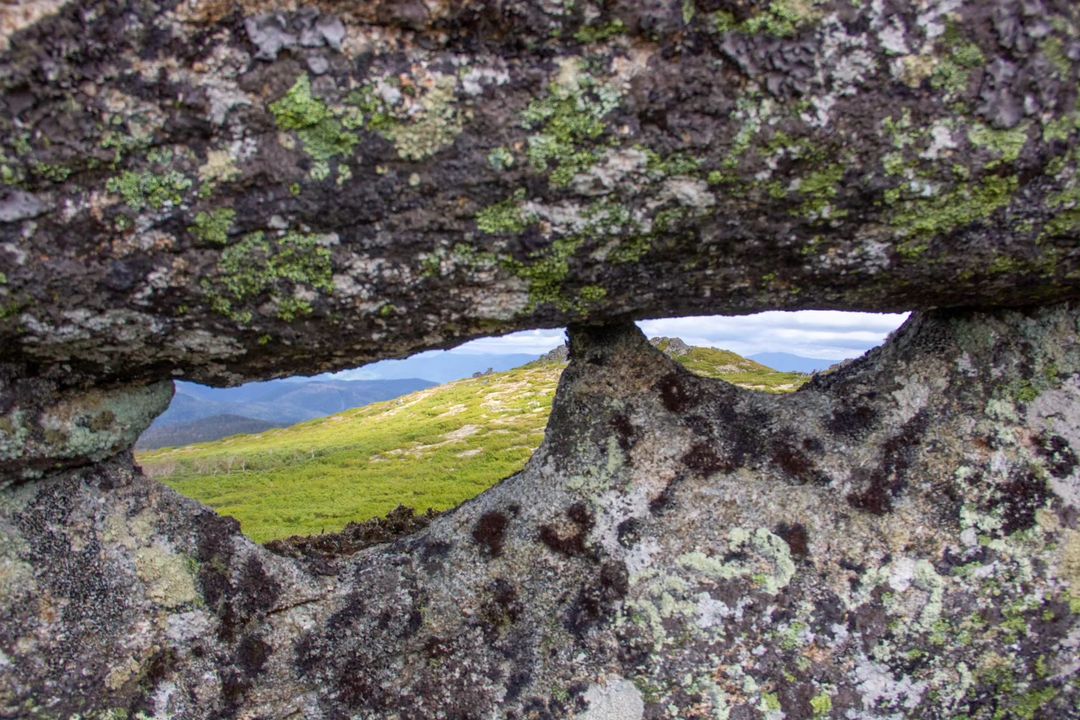 astronom_realtor в LOOKY — фото 7