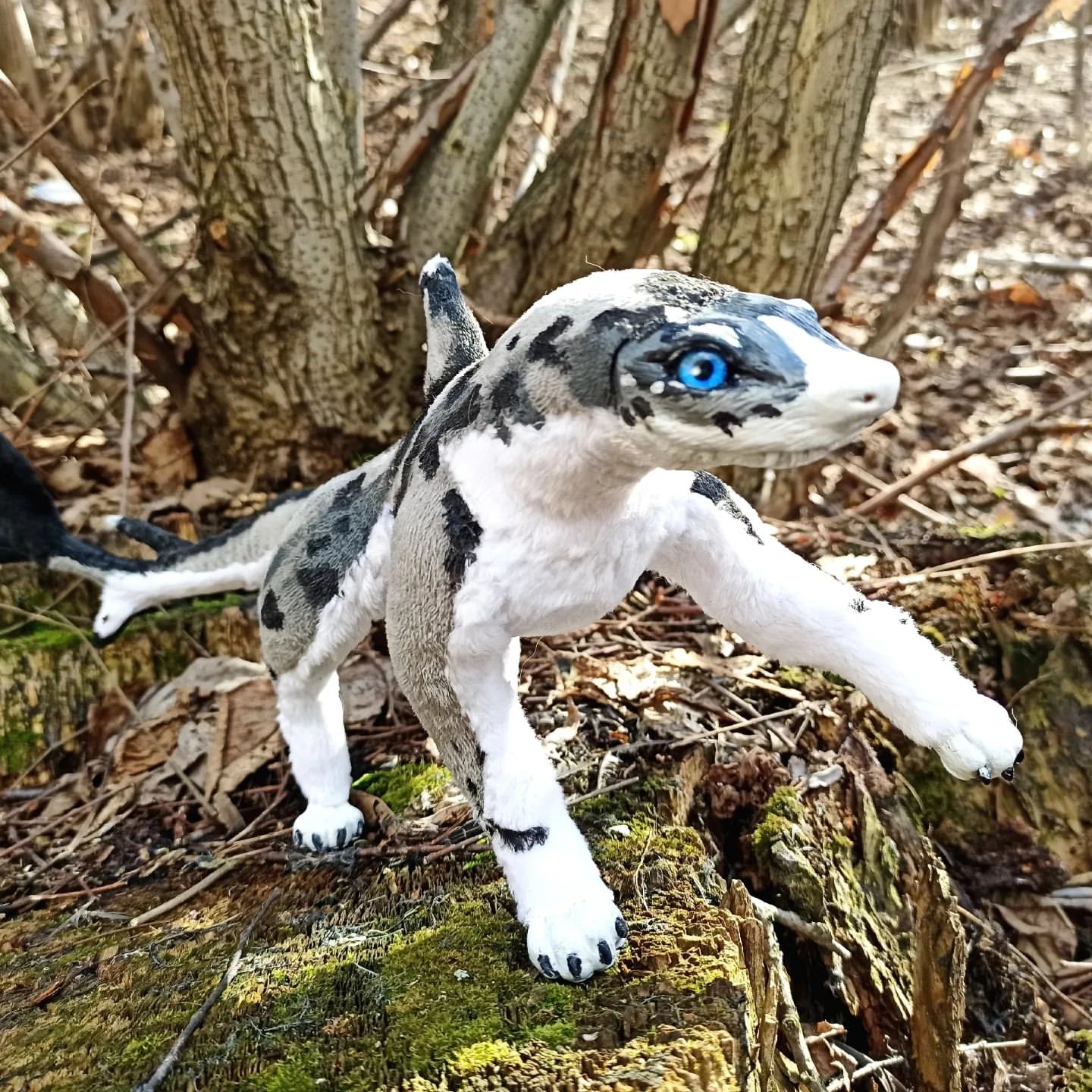 christina.sayvaris в LOOKY. #puppy,#shark,#doll,#handmade,#frame,#doll,#cute,#friend,#ArtDoll. Sharkdogs or sharkpu...