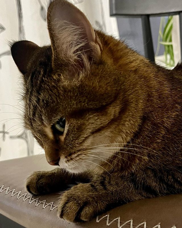 dusya.fedorovna в LOOKY. . Я всё вижу