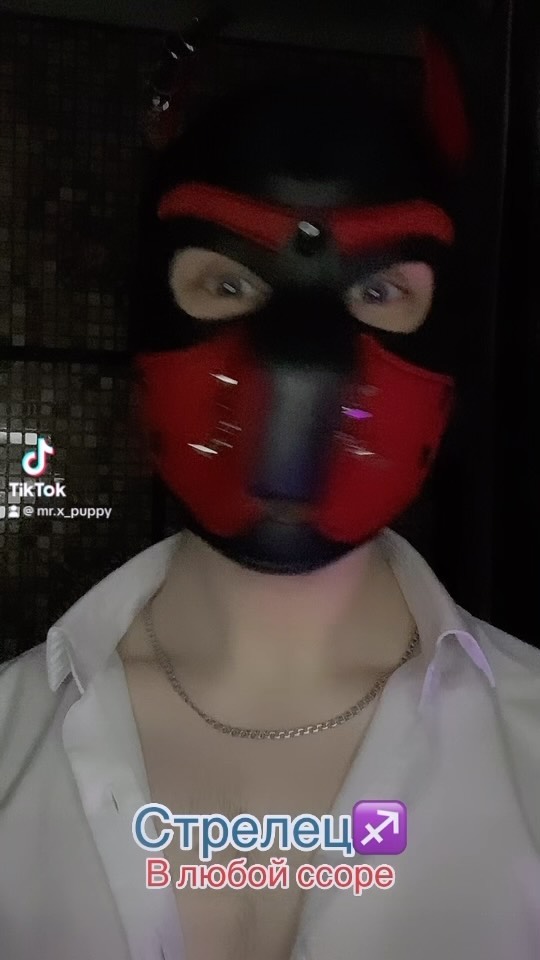 MrX в LOOKY. #dogplay,#tiktok,#fy,#fypシ. Вот такие мы) #dogpl...