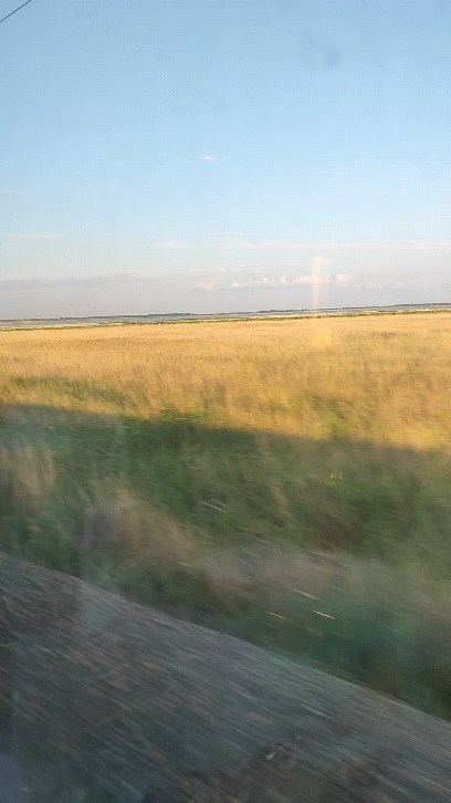 letttagr в LOOKY. . null