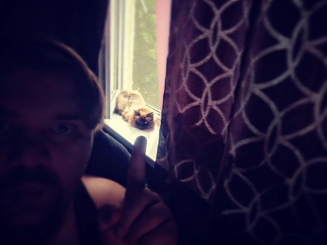 korova8 в LOOKY. #cat,#sweet,#saintcat. Свято котэ #cat #swe...