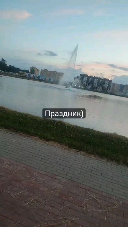 vox3dart в LOOKY. . null