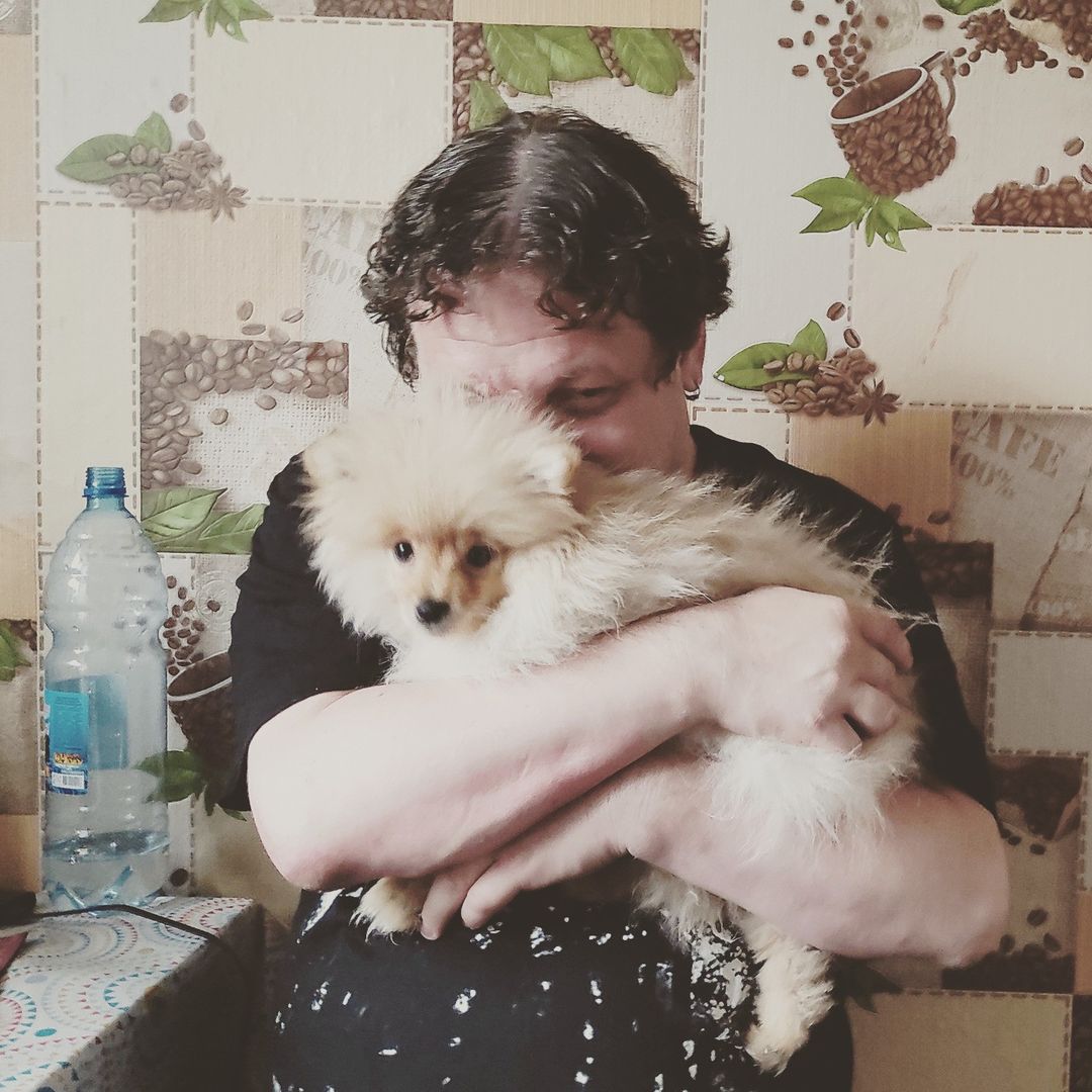 милая собачка