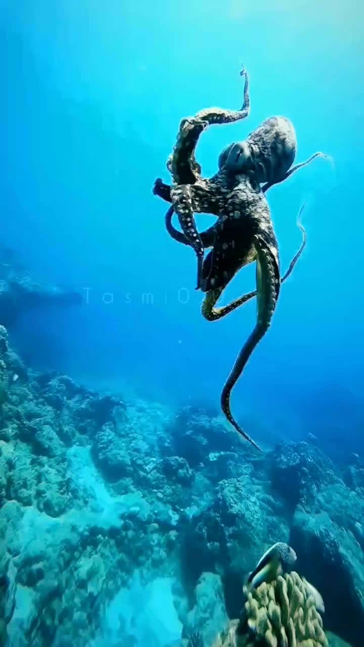 jd_karim_ в LOOKY. #facebookreels,#العراق,#السعودية,#المغرب,#اللهم_صل_وسلم_وبارك_على_نبينا_محمد. #facebookreels #العر...