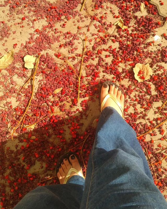 Moorish_feets в LOOKY. #feet,#shoes,#fetichiste,#french,#boots,#bootshighheels,#frenchfetish,#fetishboots,#girlsinboots,#highboots,#pieds,#bootsleathersfetish,#leatherlook,#lederlady,#france,#toes,#cuissardes,#touteencuir,#leatherlady,#leathers,#cuissardecuir,#love,#foot,#bottesencuir,#leathershoes,#passioncuir,#leatherboots,#paris,#legs,#footfetishnation. Follow @goddesskaris...